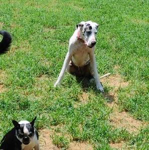 Meet your Posher, Ken